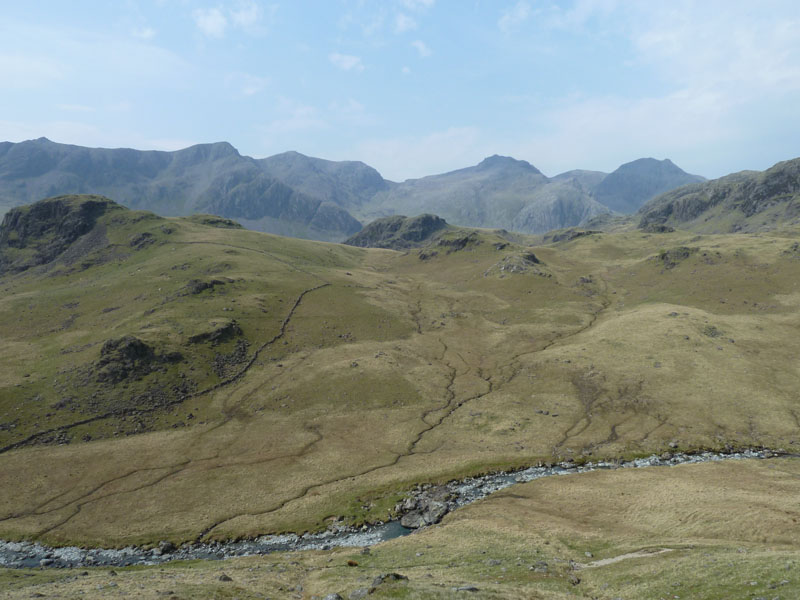 Lincove Beck